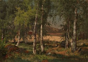  - Hjalmar Munsterhjelm