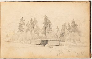  - Hjalmar Munsterhjelm