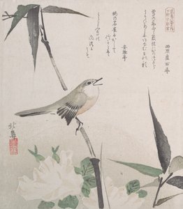 Roses et bambou avec rossignol - Hokuba