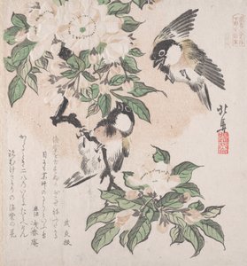 Collection de pluie printanière Harusame shu, vol. 3 : Mésanges et fleurs de pommier, vers 1820 - Hokuba