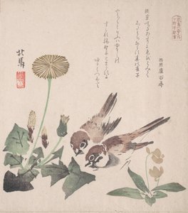 Collection de Pluie de Printemps Harusame shu, vol. 3 : Moineaux et Pissenlits - Hokuba