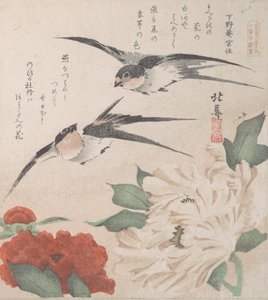Collection de pluie de printemps Harusame shu, vol. 3 : Hirondelles et pivoines, vers 1820 - Hokuba