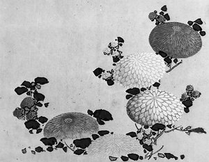 Chrysanthèmes, 19ème siècle