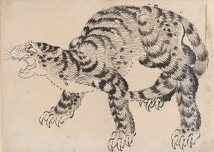 Tigre, 19ème siècle