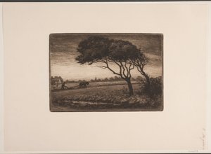 Paysage d