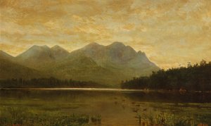 Lac Ausable Supérieur - Homer Dodge Martin