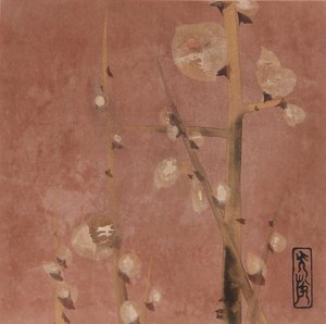 Fleurs de prunier
