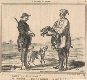 Combien votre lièvre, l