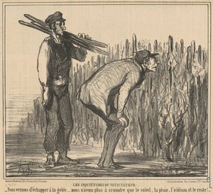 Les inquiétudes du viticulteur - Honoré Daumier
