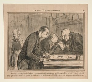 Savants au comble de la joie en contemplant le premier petit crocodile - Honoré Daumier