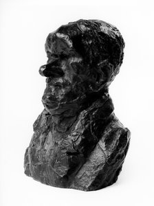 Les bustes chargés des Célébrités du Juste Milieu. Caricature par Auguste Ganneron (1792-1847), député et industriel. Le timide. Sculpture par Honoré Daumier (1808-1879) XIXe siècle. Inv L 48.4 Dim en cm H 18 x L 13 Musée des Beaux Arts, Palais Longchamp - Honoré Daumier