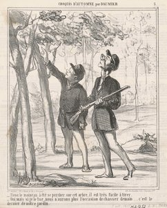 Tiens, le moineau a été séparé
