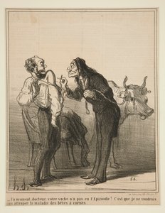 Un moment, docteur, votre vache n