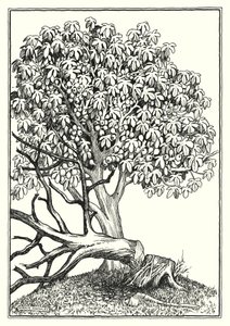 Illustration du Sermon sur la montagne (gravure)