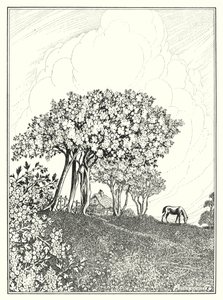 Mai (litho)