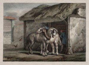 Cheval de Ferme - Emile Jean Horace Vernet