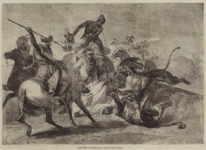 Chasse au Lion en Afrique