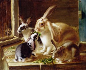 Lapins à longues oreilles dans une cage, observés par un chat