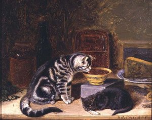 Deux chats