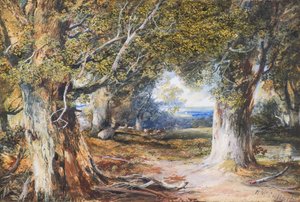 Dans le bois - Horatio McCulloch