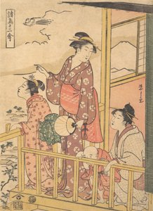 Un oiseau à longue queue Onagadori, de la série Douze oiseaux assortis Shocho junikin..., vers 1791 - Hosoda Eishi