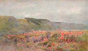 La Vallée des Coquelicots, vers 1879-1903, 1903 - Howard Gull Stormont