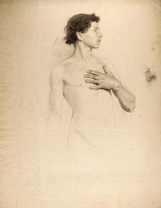 Garçon nu, torse et tête - Howard Russell Butler