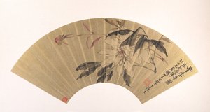 Pivoine herbacée - Hu Yuan