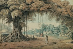 Porteurs de palanquin et hommes saints se reposant sous un banyan à l