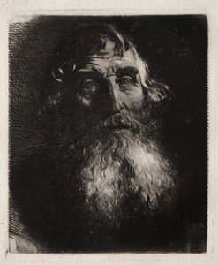 Étude de la tête d