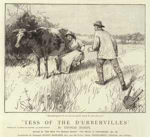 Tess d