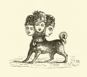 Cerbère femelle