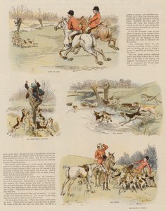 Harengs rouges par colis postal