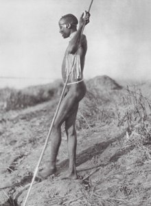Afrique : Dinka du Nord du Nil Blanc