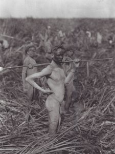 Afrique : Guerriers Nuer dans un marais - Hugo Adolf Bernatzik
