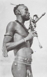 Njambara d