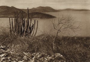 Mexique : près de la côte de Baja California (photo n/b)