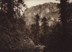 Mexique : La Canada, Contreras, D F (photo n/b)