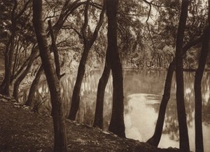 Mexique : Las fuentes de Tlalpam D F (photo n/b)