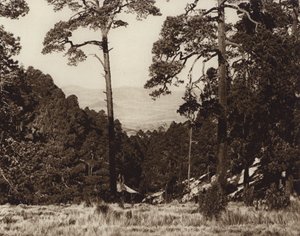 Mexique : panorama sauvage au pied du Pico de Orizaba (photo n/b)