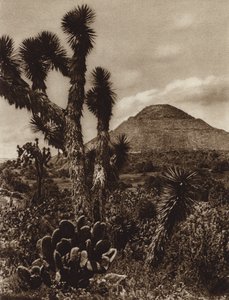Mexique : San Juan Teotihuacan, Pyramide de la Lune (photo n/b)