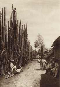 Mexique : Santiago, rue caractéristique du village avec des cactées en forme de colonnes (photo n/b) - Hugo Brehme