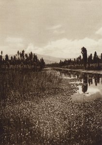 Mexique : Xochimilco, l