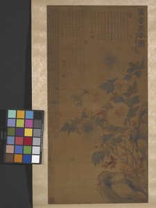 Pivoines et Roche - Hui Lu