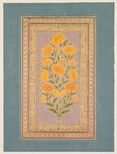 Souci en fleur, vers 1765 - Hunhar II