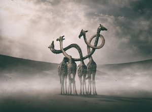  - Hussain Buhligaha