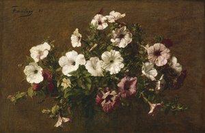Pétunias, 1881 - Ignace Henri Jean Fantin Latour