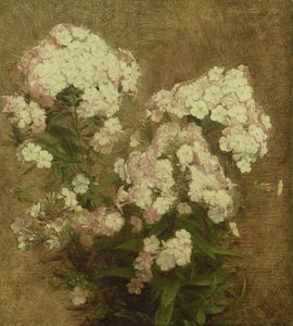 Phlox - Ignace Henri Jean Fantin Latour