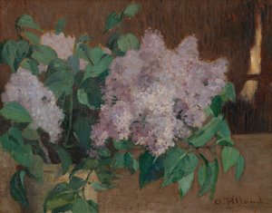 Lilas