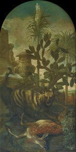 Hyène, antilope et casoar dans un paysage de cactus - Ignaz Heinitz von Heinzenthal